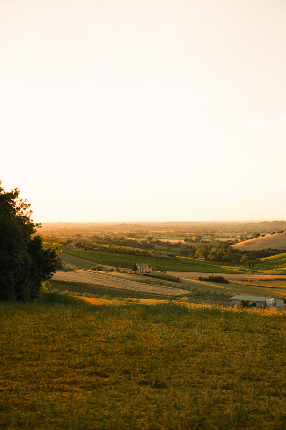 1000 Miglia 2026 — SRG0721.JPG