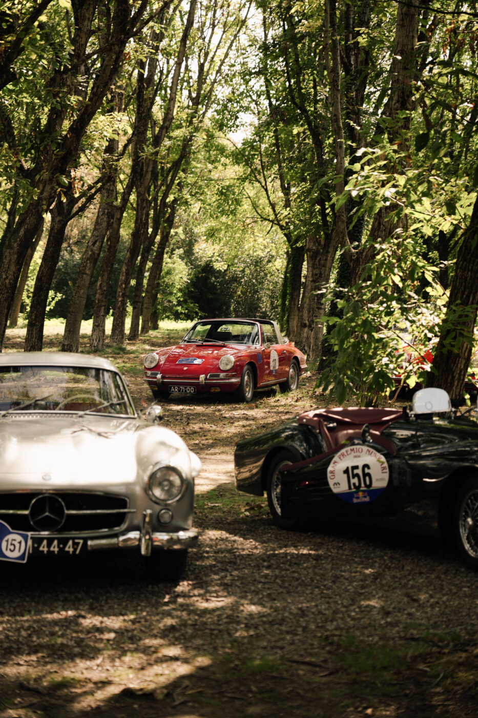 Gran Premio Nuvolari 2026 — SC_GPN_153.JPG