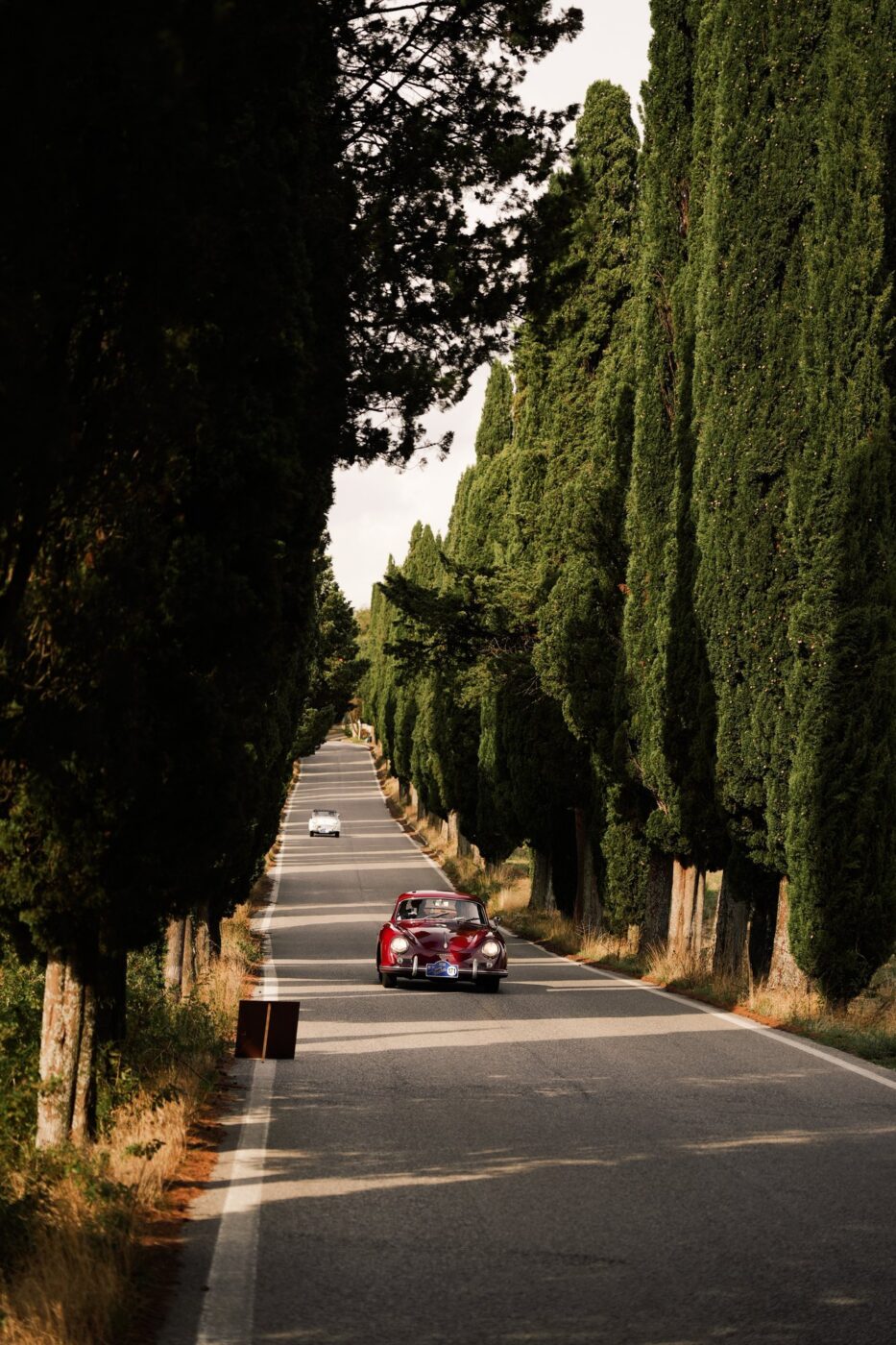 Gran Premio Nuvolari 2026 — SC_GPN_212.jpg