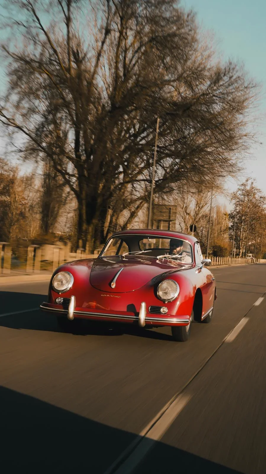 Princess Grace driving on the road in warm light